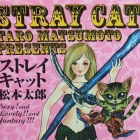 Stray Cat