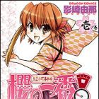 Taisho Komachi Jikench&ocirc; - Sakura no Ichiban!
