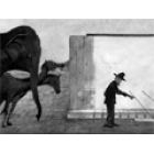 Les Cordes de Muybridge