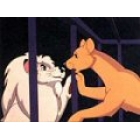 Chouhen Jungle Taitei