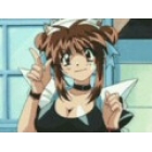 Nanako, manuel de g&eacute;n&eacute;tique criminelle