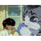 Please Save My Earth - R&eacute;incarnations