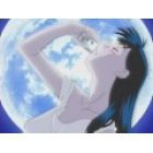 Spirit of Wonder - Courts M&eacute;trages