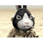 Cat Shit One - The Animated Series