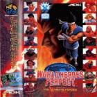 World Heroes Perfect