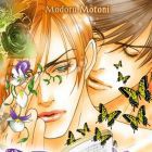 In the Name of Beauty