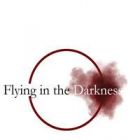 Flying in the Darkness