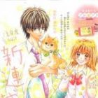 Hatsukoi Dandelion