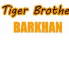 Tiger Brother - Barkhan