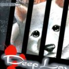 Deep Love: Pao no Monogatari