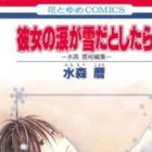 Kanojo no Namida ga Yuki da Toshitara