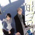 Hoshi dake ga Shitteru