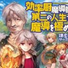 Kouritsuchuu Madoushi, Daini no Jinsei de Madou wo Kiwameru