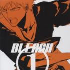 Bleach: Letters From the Other Side