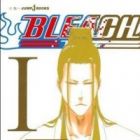 Bleach: Spirits Are Forever with You