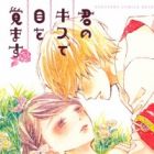 Kimi no Kiss de Me wo Samasu