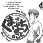 Kumabachi no Koto