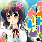 Idol to Harem