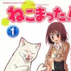 Nekomatta!