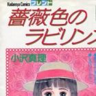 Barairo no Labyrinth