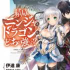Kekkyoku, Ninja to Dragon wa Docchi ga Tsuyoi no?