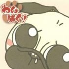 Wan Pug!