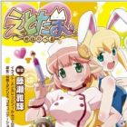 Etotama: Gaiden Novel