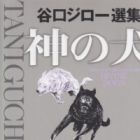 Blanco - Le chien Blanco