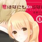 Kimi wa Nanimo Shiranai