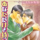 Anata Dake wo Matteru