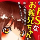 Do S na Oniichan to no Atarashii Koi no Hajimekata Oshiete Kudasai!