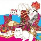 Paradise Cats