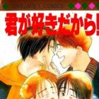 Kimi ga Suki Dakara!!
