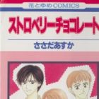 Strawberry Chocolate