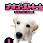 Nao Go Straight -Guide Dog Trainer-