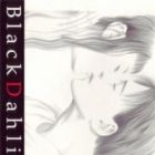 Black Dahlia