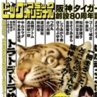 Hanshin Tigers Sousetsu 80-shuunen Kinen Zoukangou