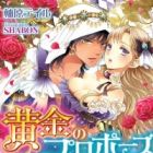Ougon no Proposal: Sabaku no Ouji no Hanayome Sagashi