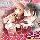 Cinderella no Tomadoi: Okuman Chouja ga Koishita Maid