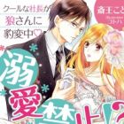 Dekiai Kinshi!? Cool na Shachou ga Ookami-san ni Hyouhenchuu