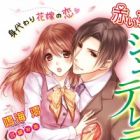Akai Kutsu no Cinderella: Migawari Hanayome no Koi