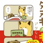 Tanuki to Kitsune