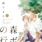 Mori Boy no Yukue