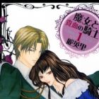 Majo to Kiketsu no Kishi
