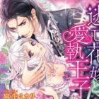 Toubou Hanayome to Aishuu Ouji: Kimi no Tame ni Kane wa Naru