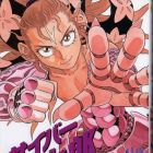 Cyber momotar&ocirc;