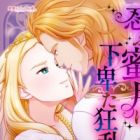 Shinobu Mitsugetsu ni Gebita Kyouran no Wana
