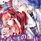 Koushaku-sama no Naisho no Oshigoto: Niizuma wa Midara na Jikkentai