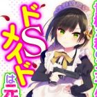 Kisama ga Watashi no Goshujinsama ka! Do S Maid wa Moto Youhei!?