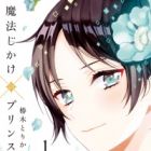Mahoujikake no Prince